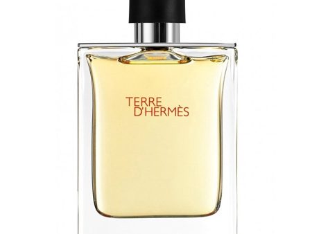 Hermes - Terre d Hermes EDT 100ml Online