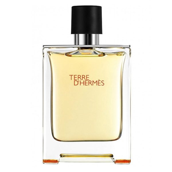 Hermes - Terre d Hermes EDT 100ml Online